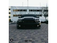 Фары Mustang (2010-2014) Фары Mustang (2010-2014)